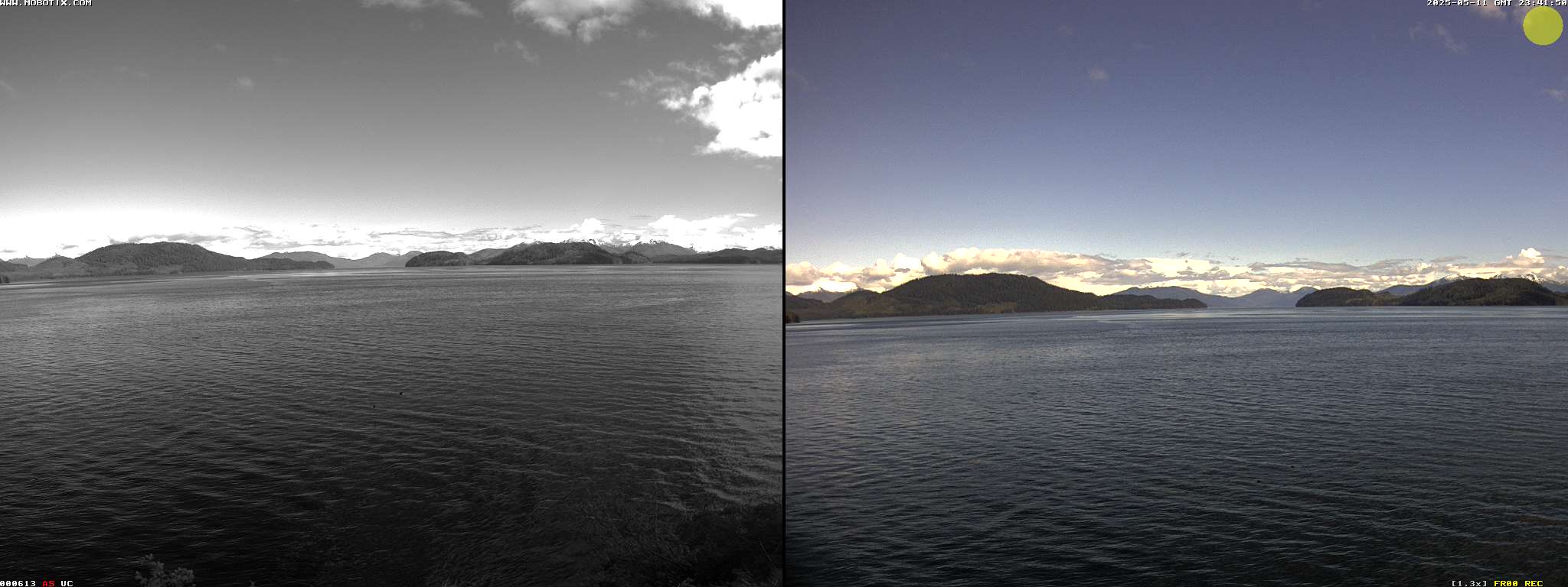 Camera localcam:Event Image #-2