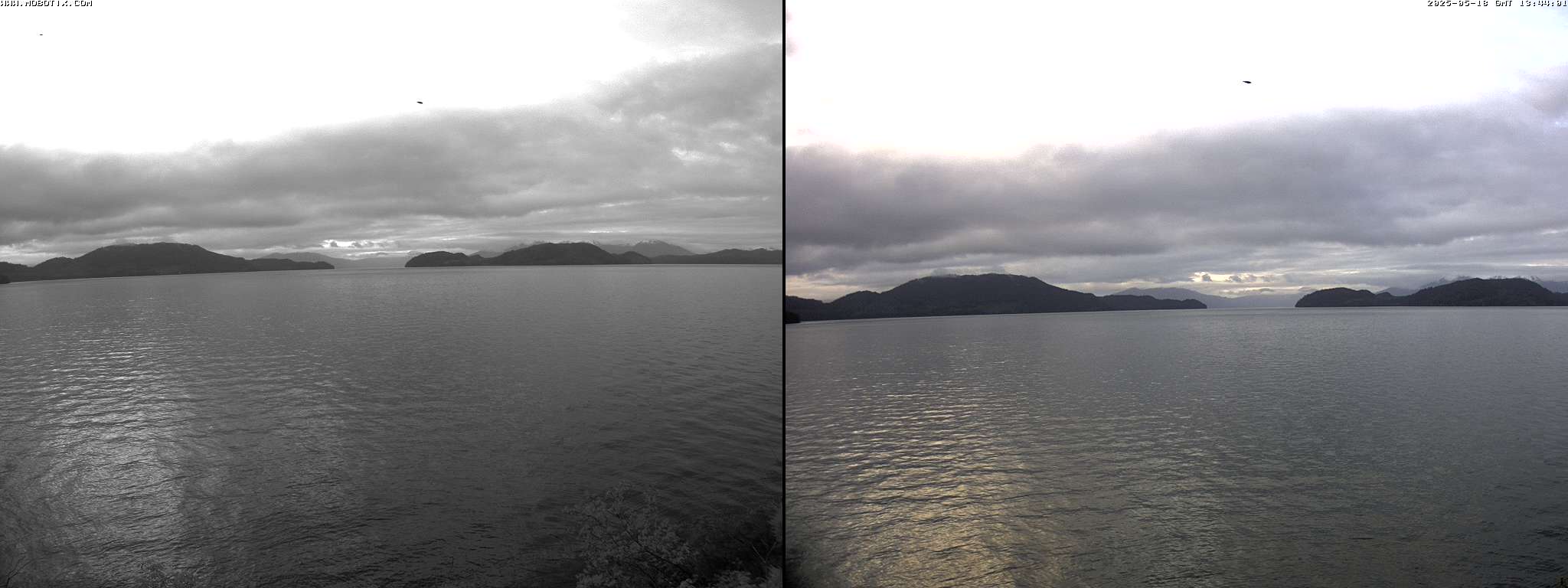 Shift-Reload to Refresh Image